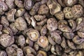 Dried Shiitake mushrooms in the bucket from the street market