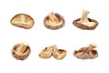 Dried shiitake mushrooms isolated on white background. Royalty Free Stock Photo