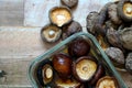 Dried shiitake mushrooms soak in water and some on a wooden background. Royalty Free Stock Photo