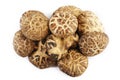 Dried shiitake mushrooms on white Royalty Free Stock Photo