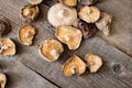 Dried shiitake mushrooms on a wooden background Royalty Free Stock Photo