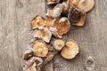 Dried shiitake mushrooms on a wooden background Royalty Free Stock Photo