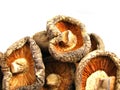 Dried Shitake Mushrooms Royalty Free Stock Photo