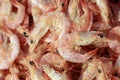 Dried shrimp Royalty Free Stock Photo