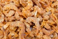 Dried shrimp Royalty Free Stock Photo