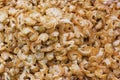 Dried Shrimp background in market Royalty Free Stock Photo