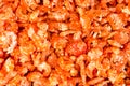 Dried shrimp Royalty Free Stock Photo