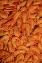 Dried shrimp. Shrimps dry freeze. Food photography Royalty Free Stock Photo