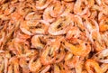 Dried Shrimps Background