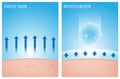 Dried skin and skin with moisturizer , before and after