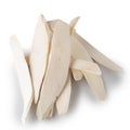 Dried slices Chinese yam or Yamaimo roots slices isolated on white background