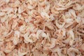 Dried small shrimps,chinese