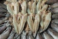 Dried Snake-head Fish