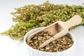 Dried sorrel in a white bowl Royalty Free Stock Photo