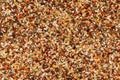 Dried spice mix background Royalty Free Stock Photo