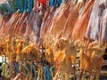 Dried Squid close up in Thailand Royalty Free Stock Photo