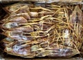 Dried squid on food market in China, Dry seafood Royalty Free Stock Photo