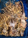 Dried squid on food market in China, Dry seafood Royalty Free Stock Photo
