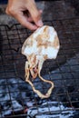 Dried squid grilling Royalty Free Stock Photo