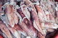 Dried squid and seafood Fish market on the island Seafood Royalty Free Stock Photo