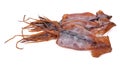 Dried squid Royalty Free Stock Photo