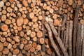 Dried and stacked firewood in a shed Royalty Free Stock Photo
