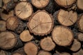 Dried and stacked firewood in a shed Royalty Free Stock Photo