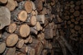 Dried and stacked logs in a shed Royalty Free Stock Photo