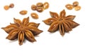 Dried star anise flowers with grains