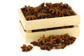 Dried star anise Illicium verum