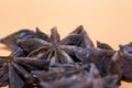 Dried star anise spice