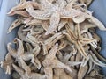 Dried starfish