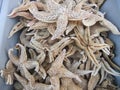 Dried starfish Royalty Free Stock Photo