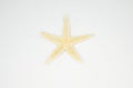 Dried starfish isolated on a white background