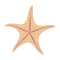 Dried starfish. Starfish flat icon. Sea animal cartoon style. Echinoderm. Royalty Free Stock Photo