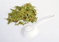 Dried stevia plant with Stevioside. Natural sweetener on white background