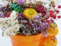 Dried straw flower positioned in a ceramic pot