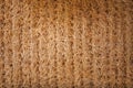 Dried straw plants pack for wall, roof, hut. Abstract textured background