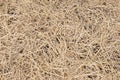 Dried straw over soil Royalty Free Stock Photo