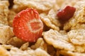 Dried strawberry and cereals