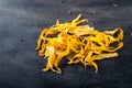 Dried sunflower petals on dark background