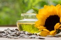 Dried sunflower seeds ,flower and oil  isolated on white background Royalty Free Stock Photo