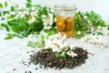 Dried tea leaves with berries and acacia flowers broth in glassware cup with lush flowering white acacia tree Branch on a white Royalty Free Stock Photo