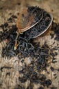 Dried tea leaves Royalty Free Stock Photo