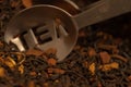 Dried tea with a silver tea strainer