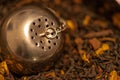 Dried tea with a silver tea strainer