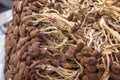 Dried tea tree mushrooms are sold on a street tray for preparing oriental dishes. Royalty Free Stock Photo