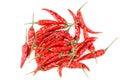 Dried thai chili peppers isolated on a white background Royalty Free Stock Photo