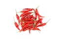 Dried thai chili peppers isolated on a white background Royalty Free Stock Photo