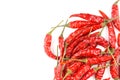 Dried thai chili peppers isolated on a white background Royalty Free Stock Photo